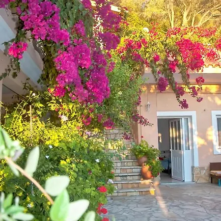 Studio Tonia - Beach, Corfu